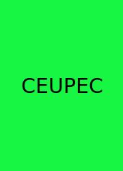 Cuánto Equivale Un Pie En Centímetros