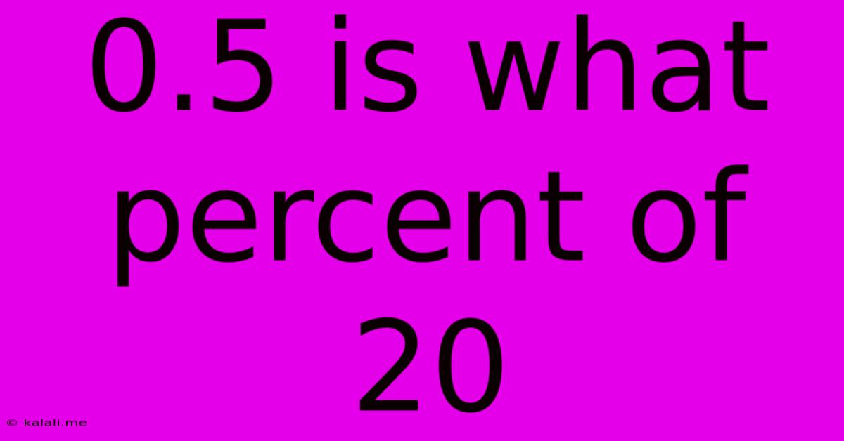 0.5 Is What Percent Of 20