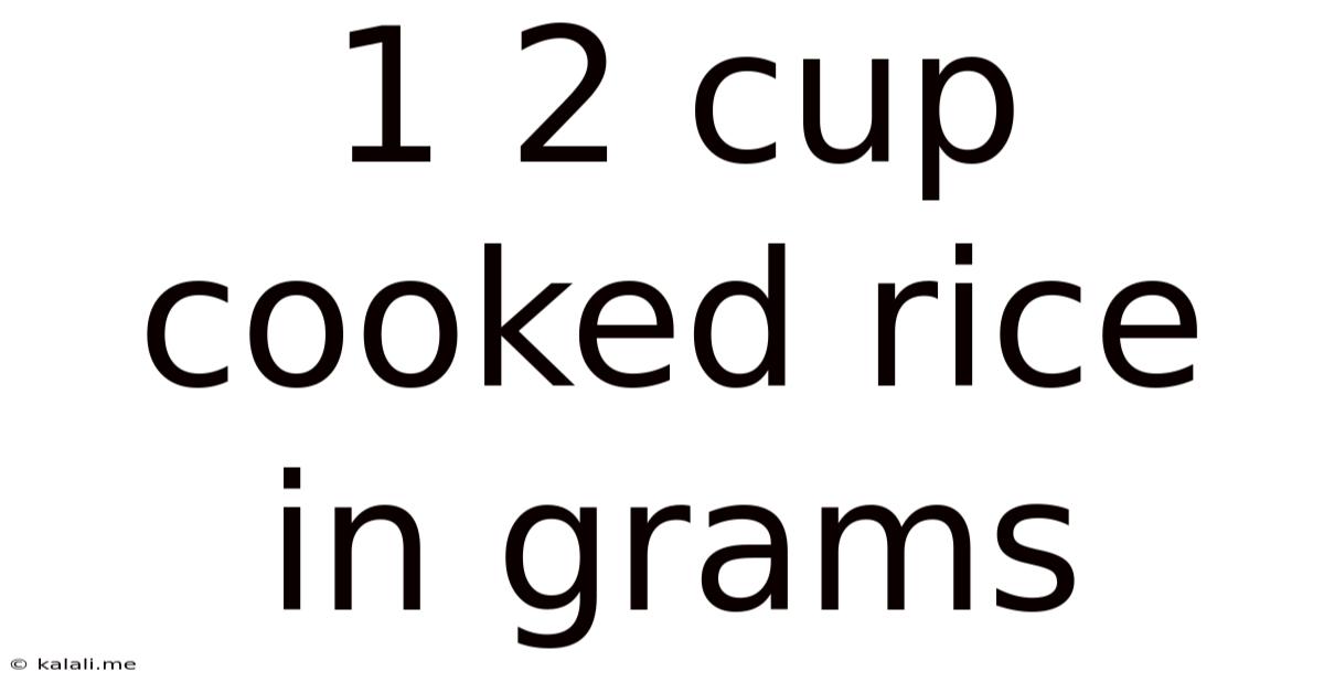 1 2 Cup Cooked Rice In Grams