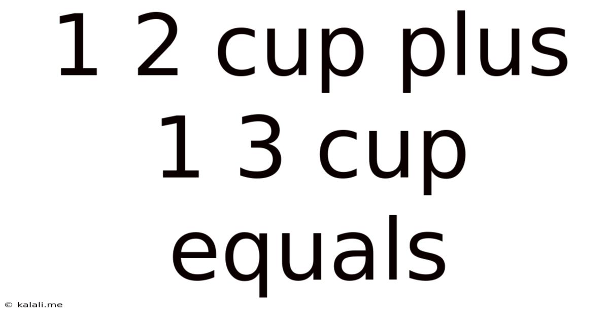 1 2 Cup Plus 1 3 Cup Equals