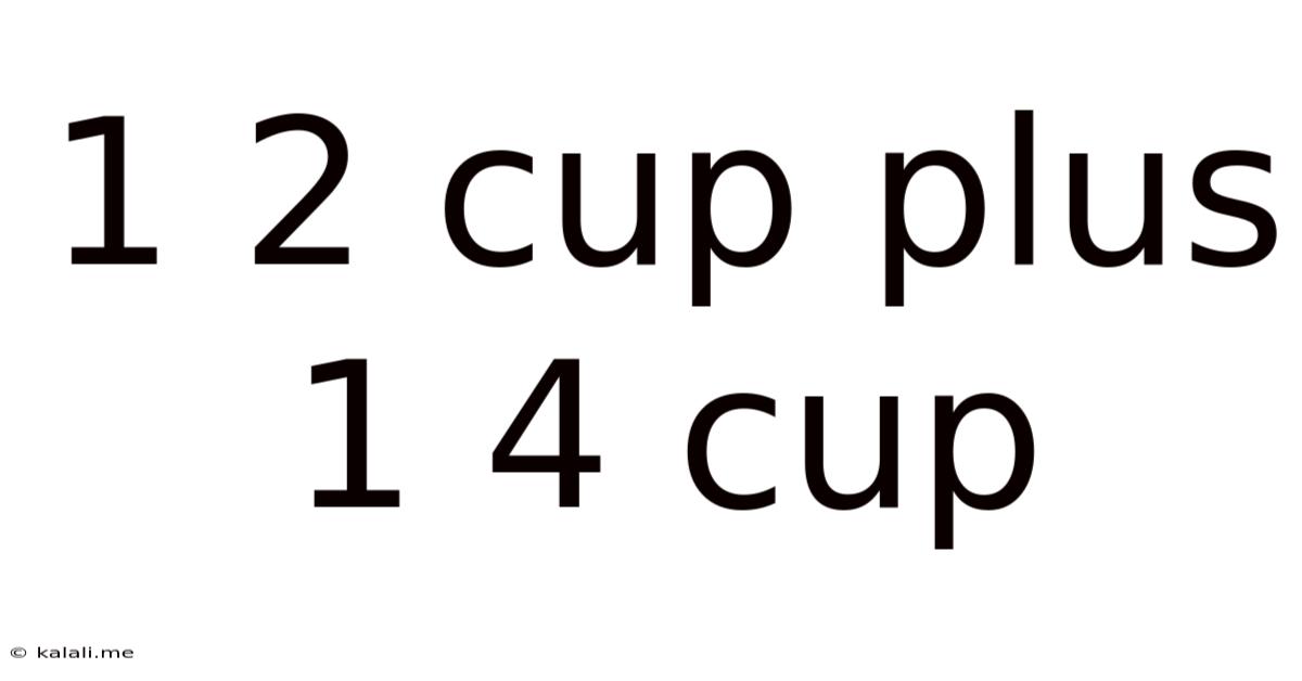 1 2 Cup Plus 1 4 Cup