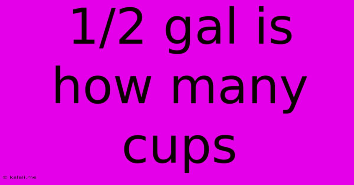 1/2 Gal Is How Many Cups