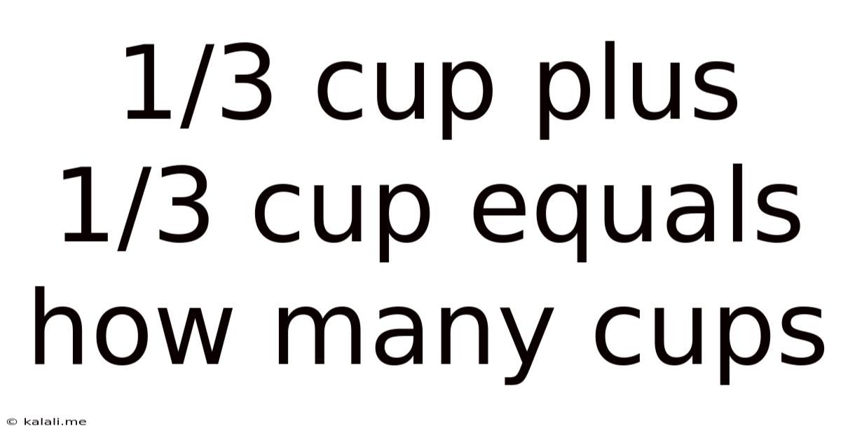 1/3 Cup Plus 1/3 Cup Equals How Many Cups