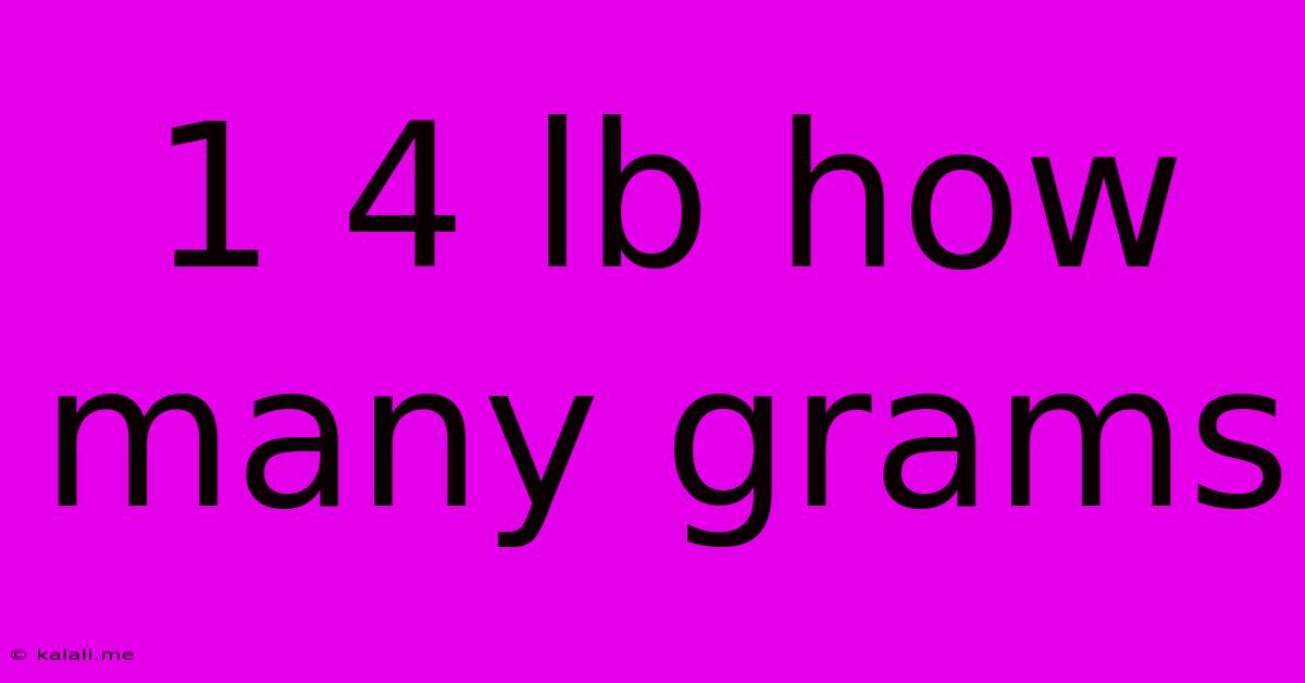 1 4 Lb How Many Grams