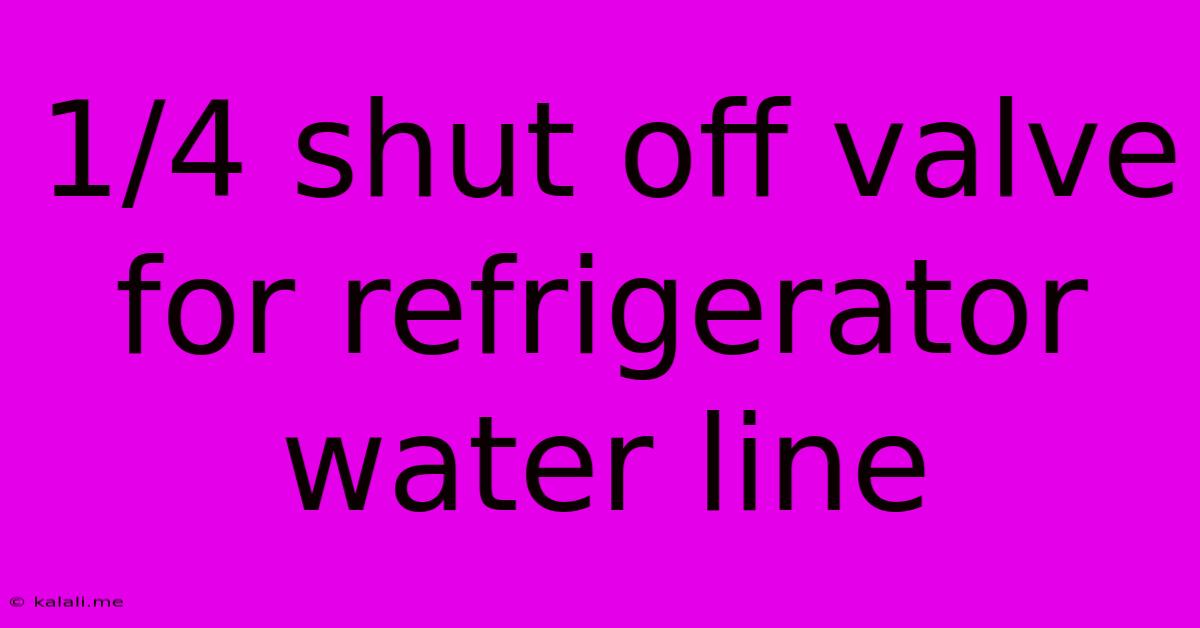 1/4 Shut Off Valve For Refrigerator Water Line