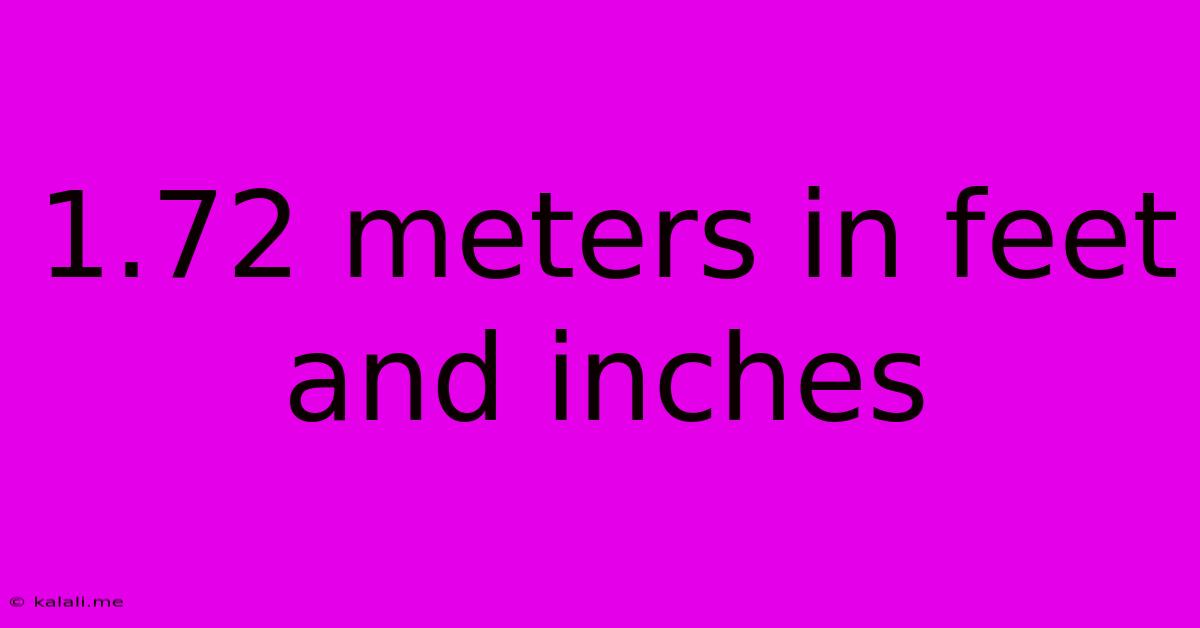 1.72 Meters In Feet And Inches