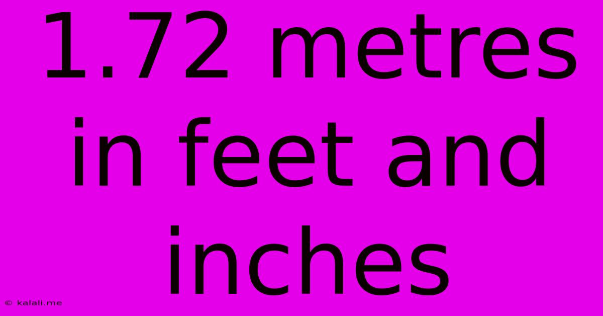1.72 Metres In Feet And Inches