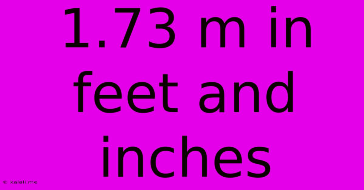 1.73 M In Feet And Inches