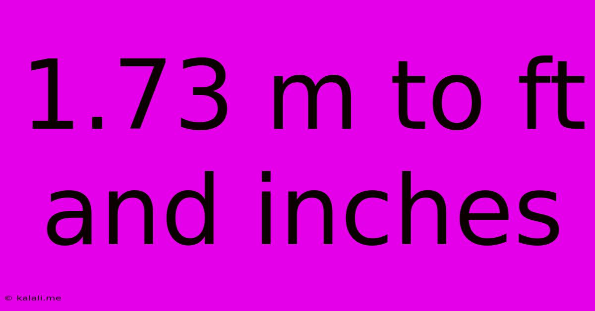 1.73 M To Ft And Inches