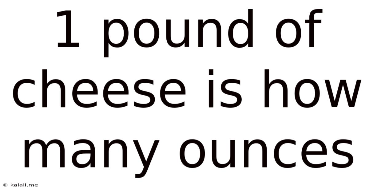 1 Pound Of Cheese Is How Many Ounces