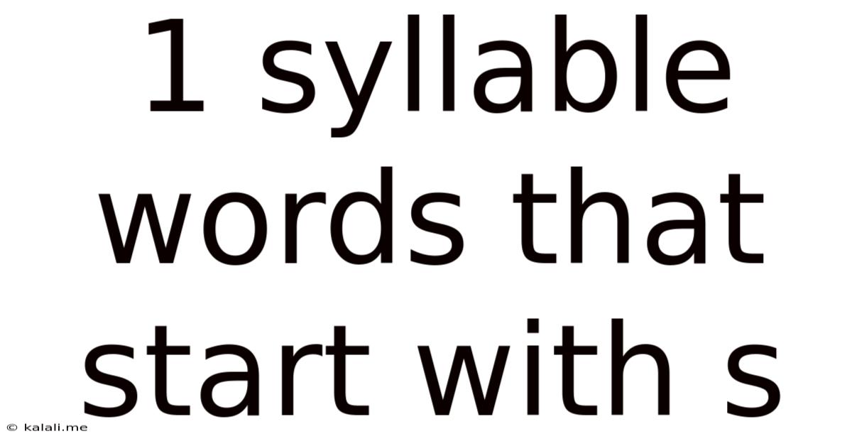 1 Syllable Words That Start With S