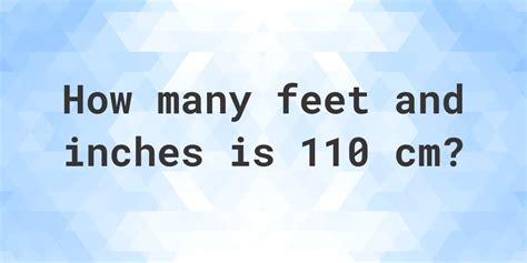 110 Cm In Inches And Feet