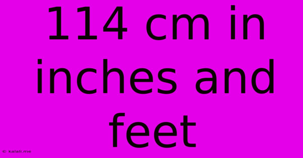 114 Cm In Inches And Feet