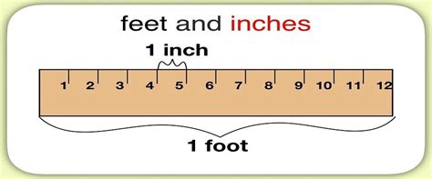 12 Ft Equals How Many Inches