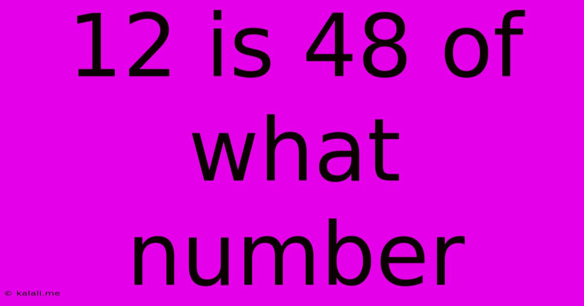 12 Is 48 Of What Number