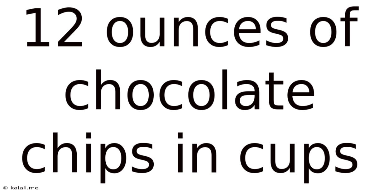12 Ounces Of Chocolate Chips In Cups