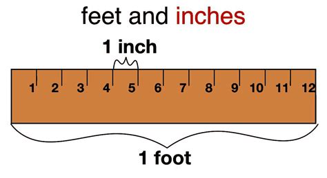 15 Feet Is How Many Inches