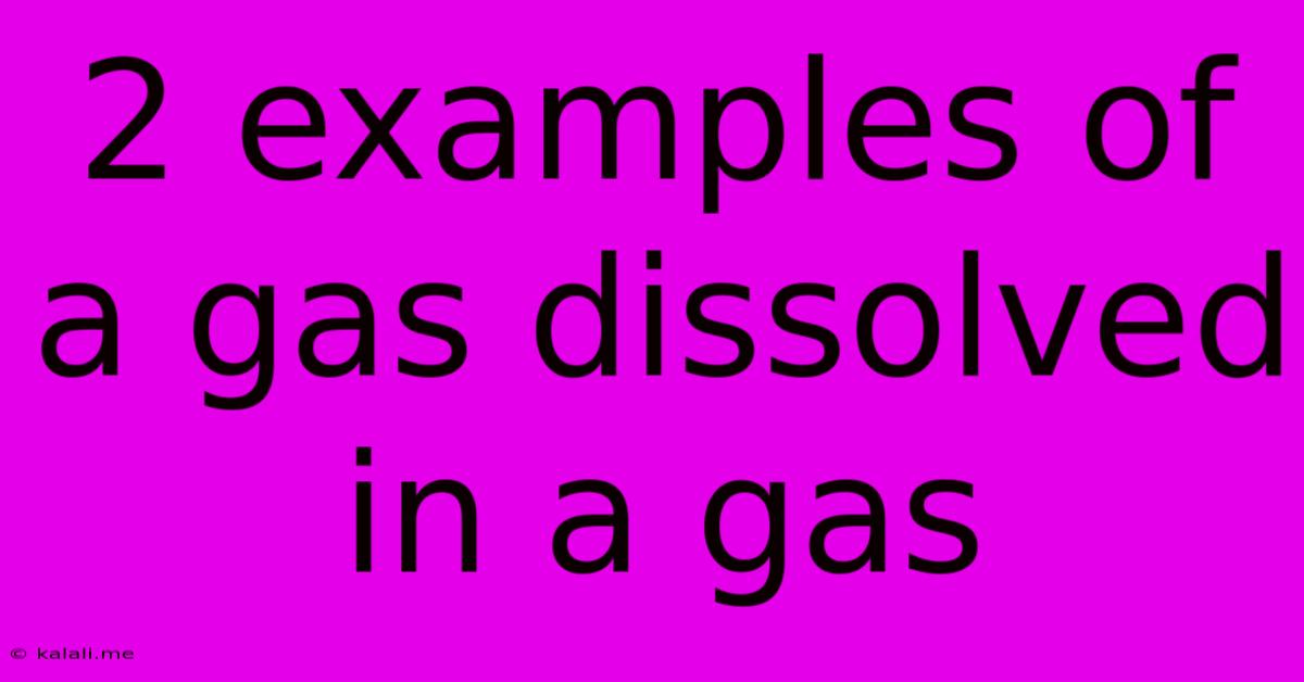2 Examples Of A Gas Dissolved In A Gas