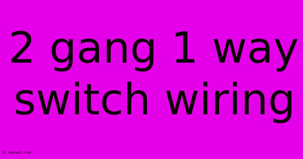 2 Gang 1 Way Switch Wiring