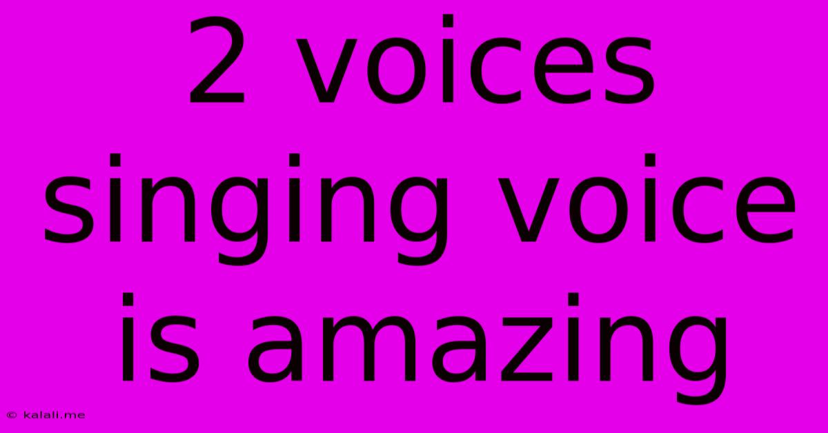 2 Voices Singing Voice Is Amazing