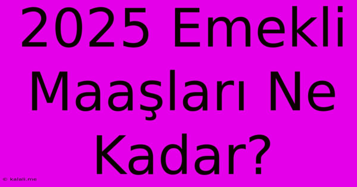 2025 Emekli Maaşları Ne Kadar?