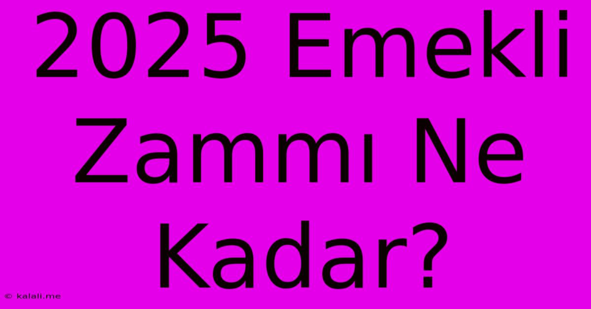 2025 Emekli Zammı Ne Kadar?