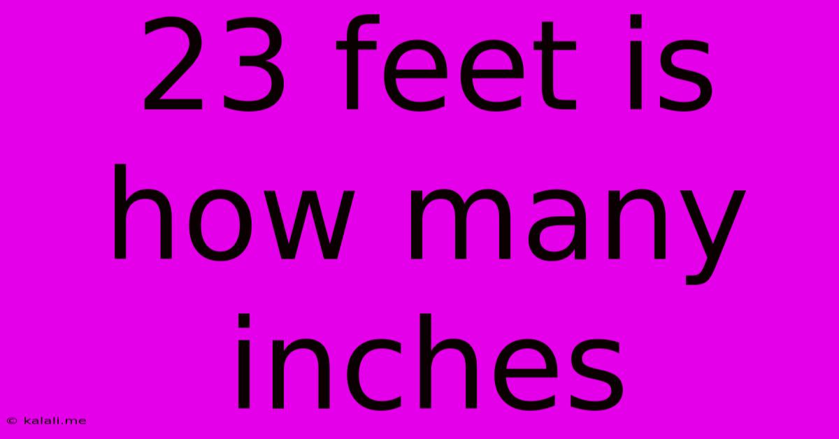 23 Feet Is How Many Inches