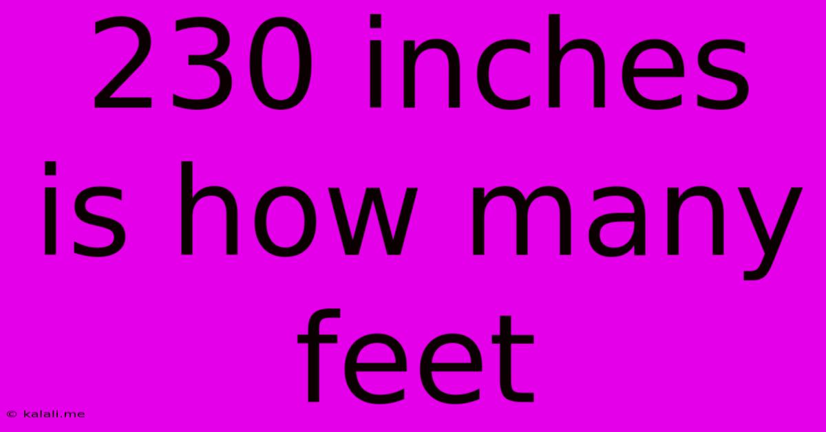 230 Inches Is How Many Feet