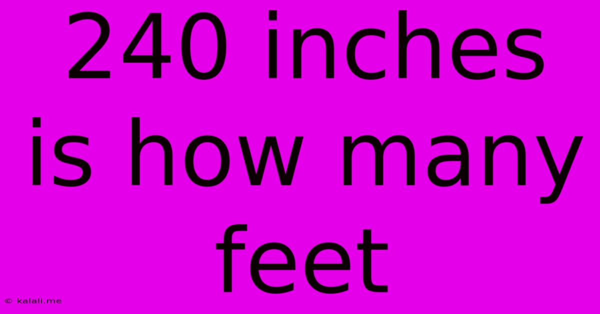 240 Inches Is How Many Feet