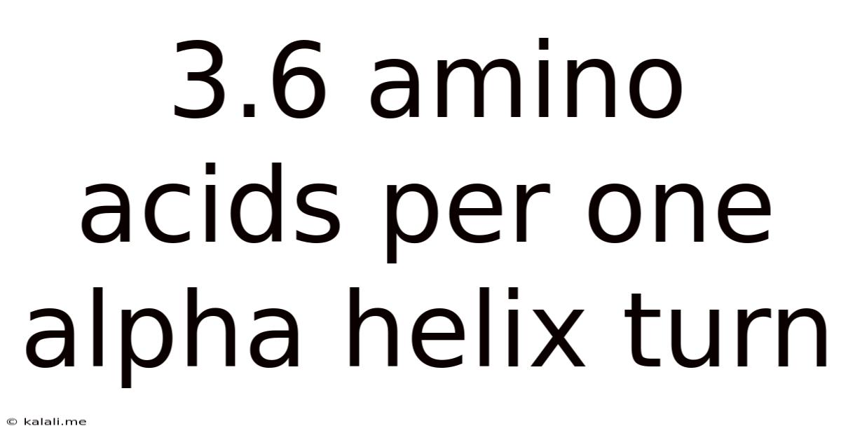 3.6 Amino Acids Per One Alpha Helix Turn