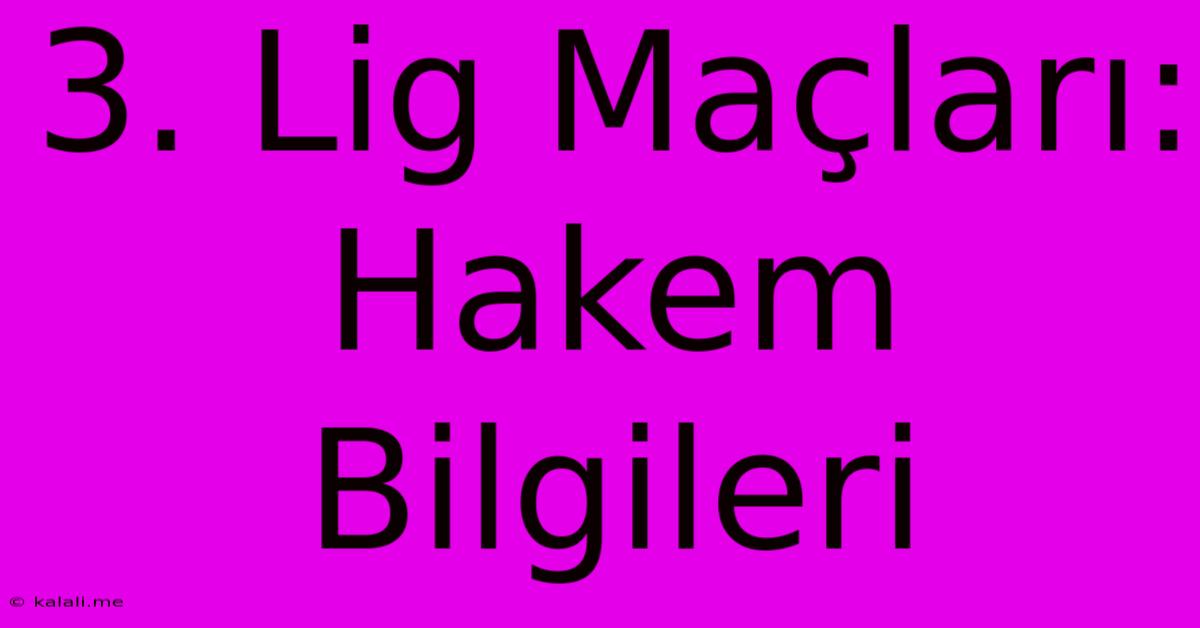 3. Lig Maçları: Hakem Bilgileri