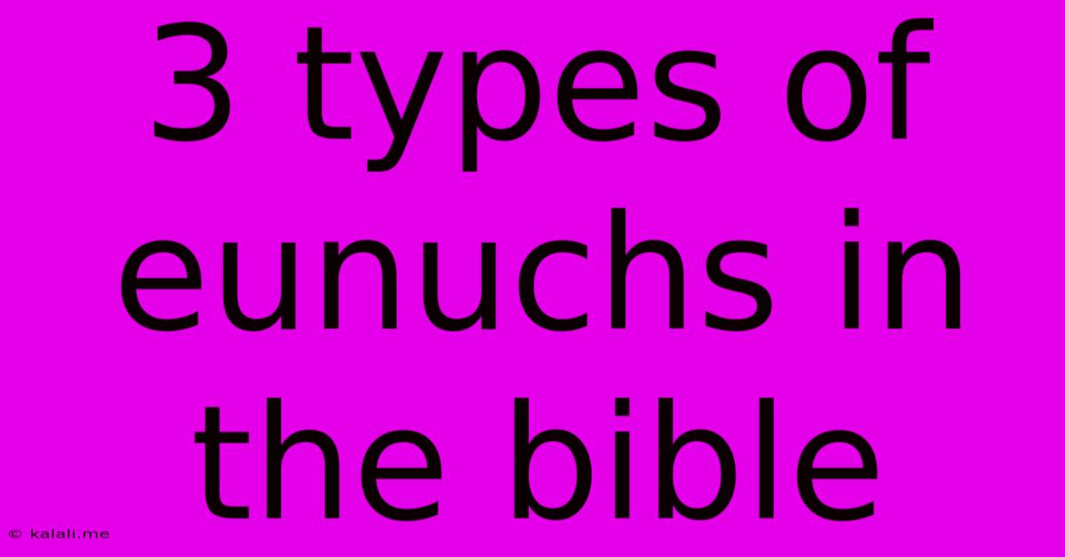 3 Types Of Eunuchs In The Bible