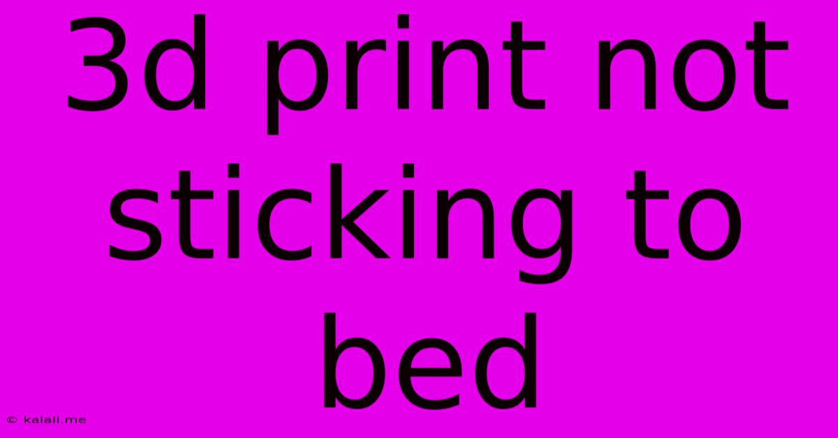 3d Print Not Sticking To Bed