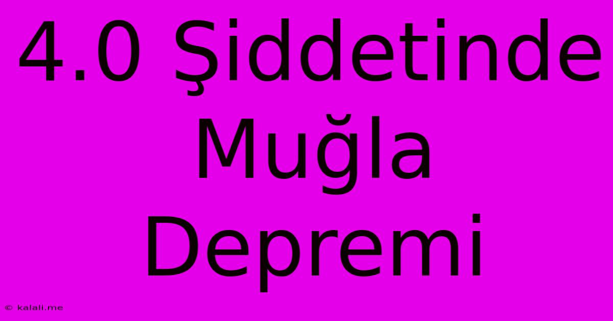 4.0 Şiddetinde Muğla Depremi