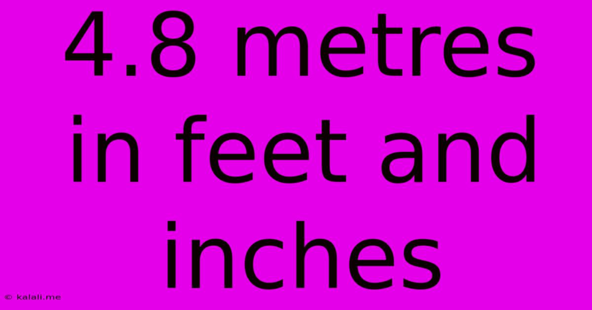 4.8 Metres In Feet And Inches