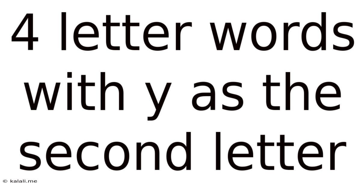 4 Letter Words With Y As The Second Letter