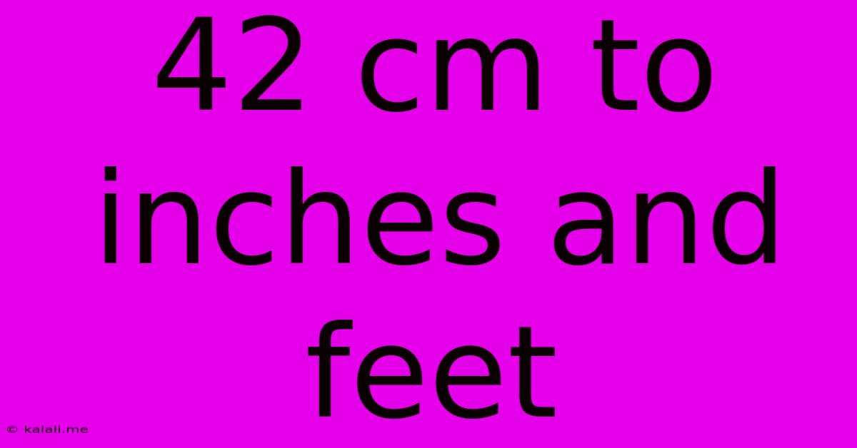 42 Cm To Inches And Feet