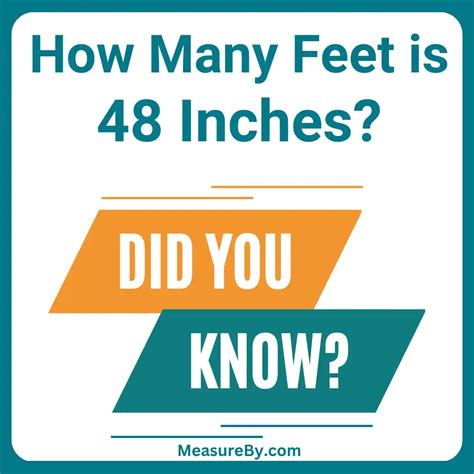 48 Inches Is How Many Feet