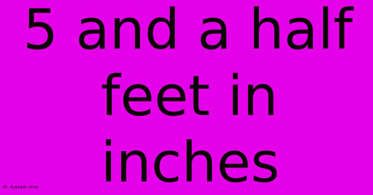 5 And A Half Feet In Inches
