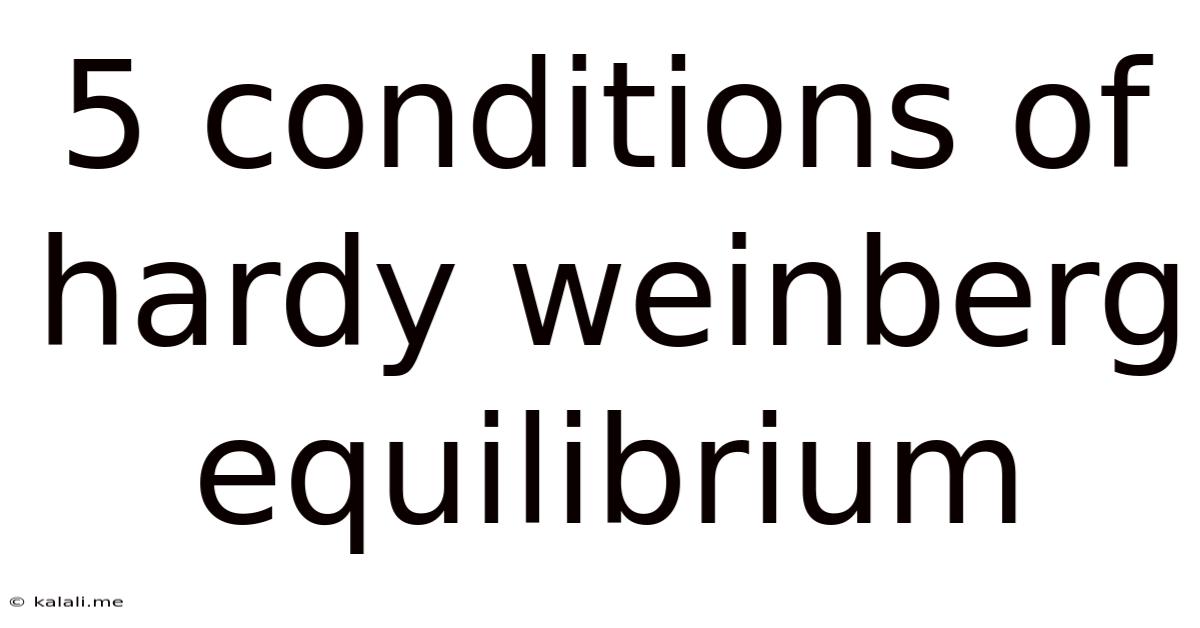 5 Conditions Of Hardy Weinberg Equilibrium