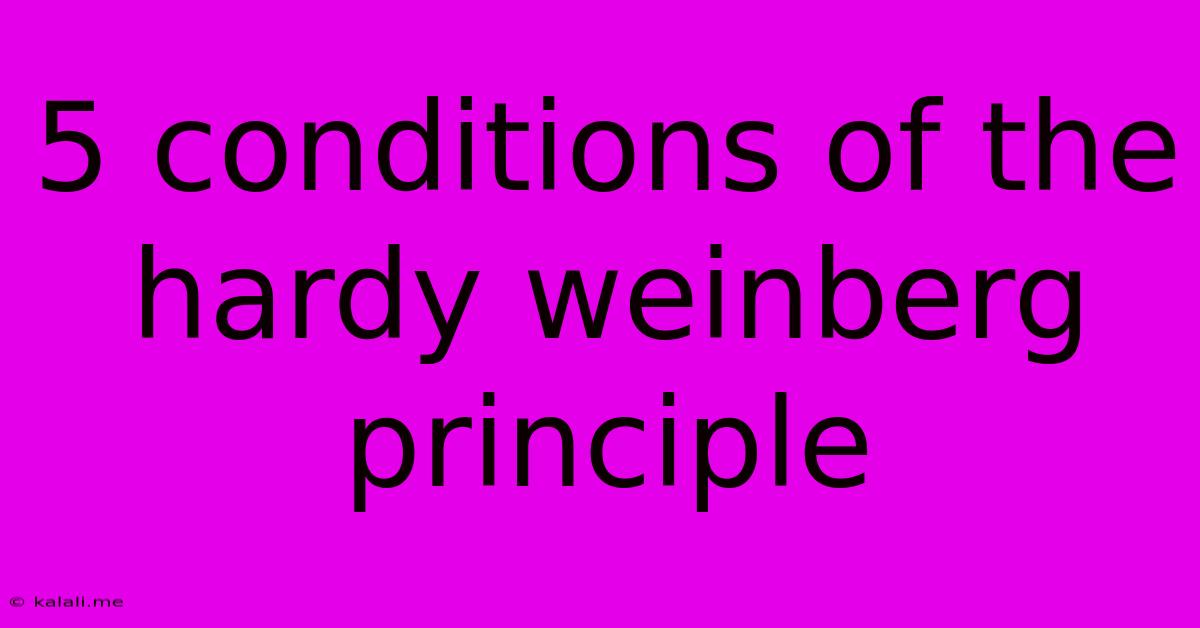 5 Conditions Of The Hardy Weinberg Principle