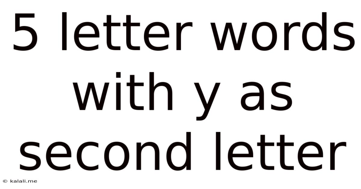5 Letter Words With Y As Second Letter