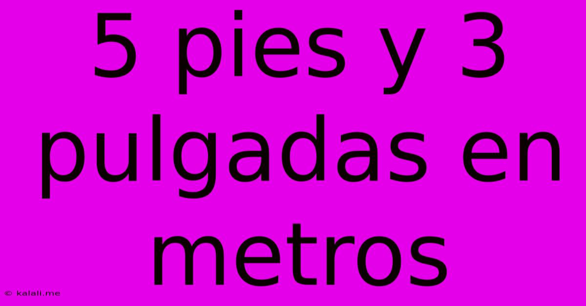 5 Pies Y 3 Pulgadas En Metros