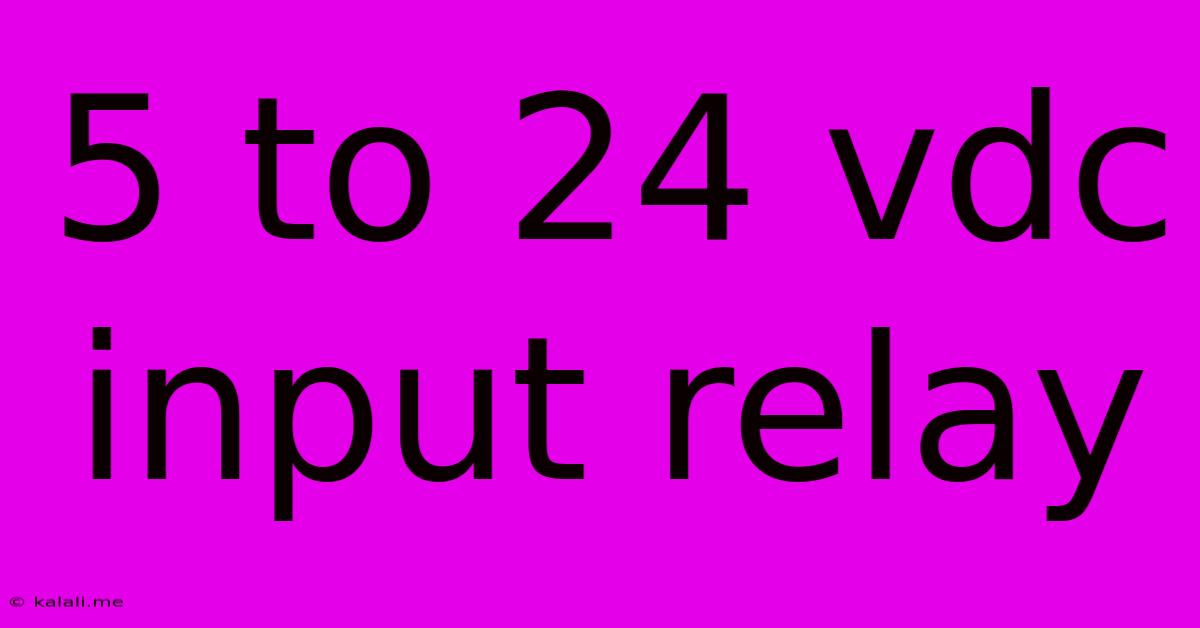 5 To 24 Vdc Input Relay