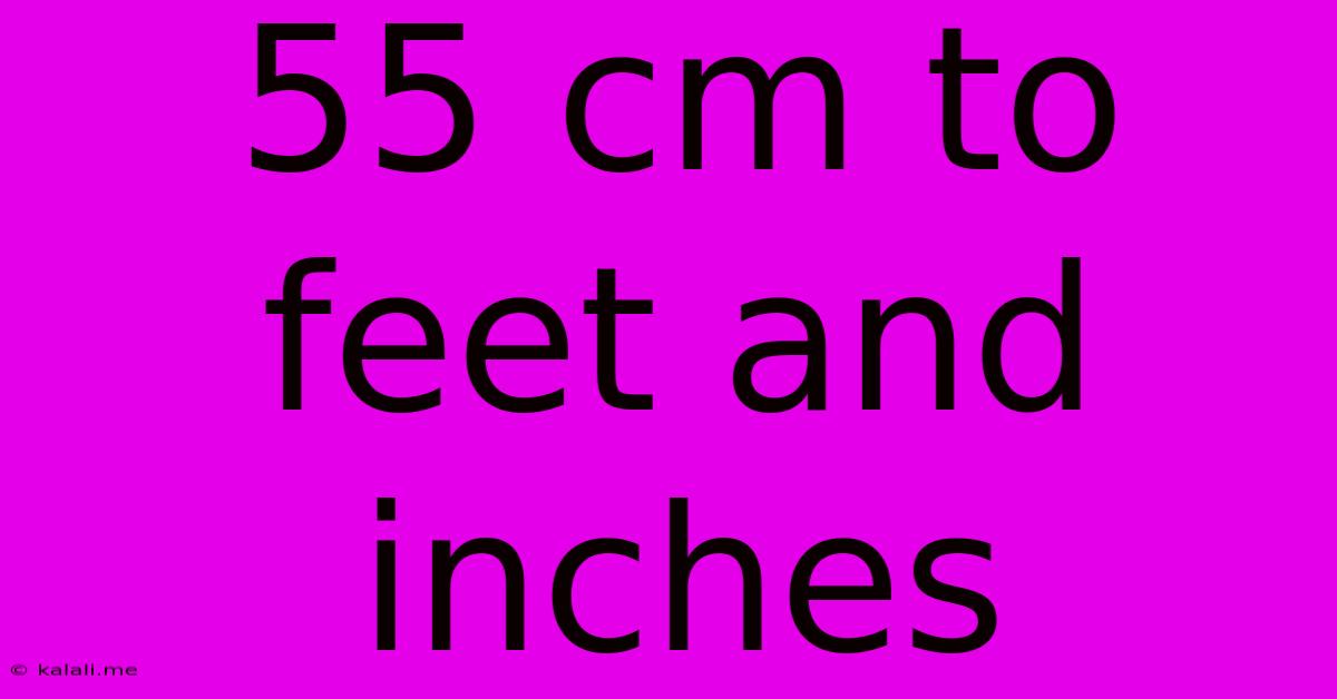 55 Cm To Feet And Inches