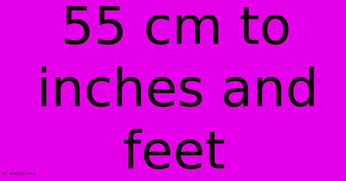 55 Cm To Inches And Feet
