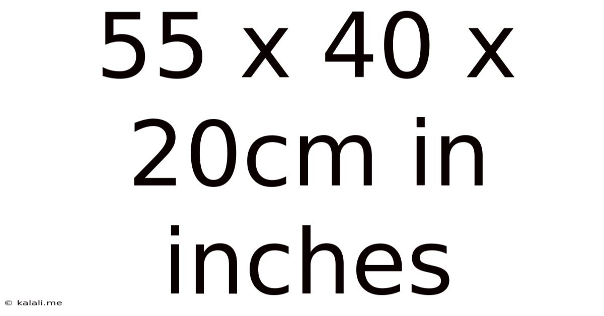 55 X 40 X 20cm In Inches