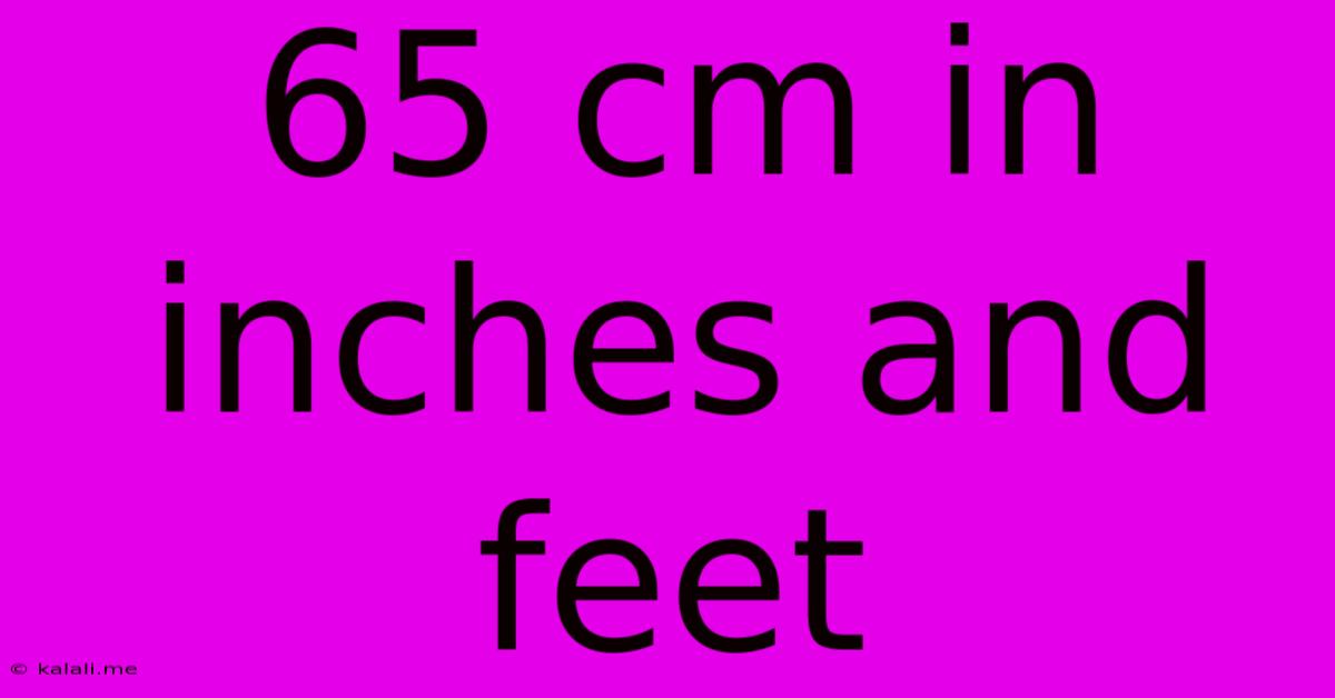 65 Cm In Inches And Feet