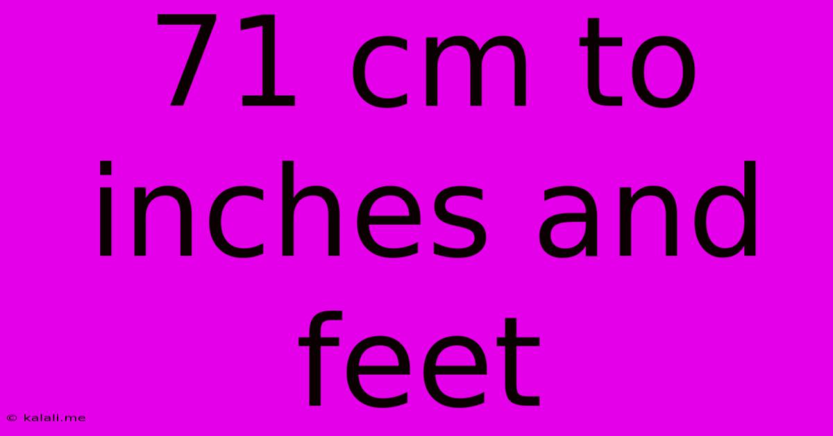 71 Cm To Inches And Feet