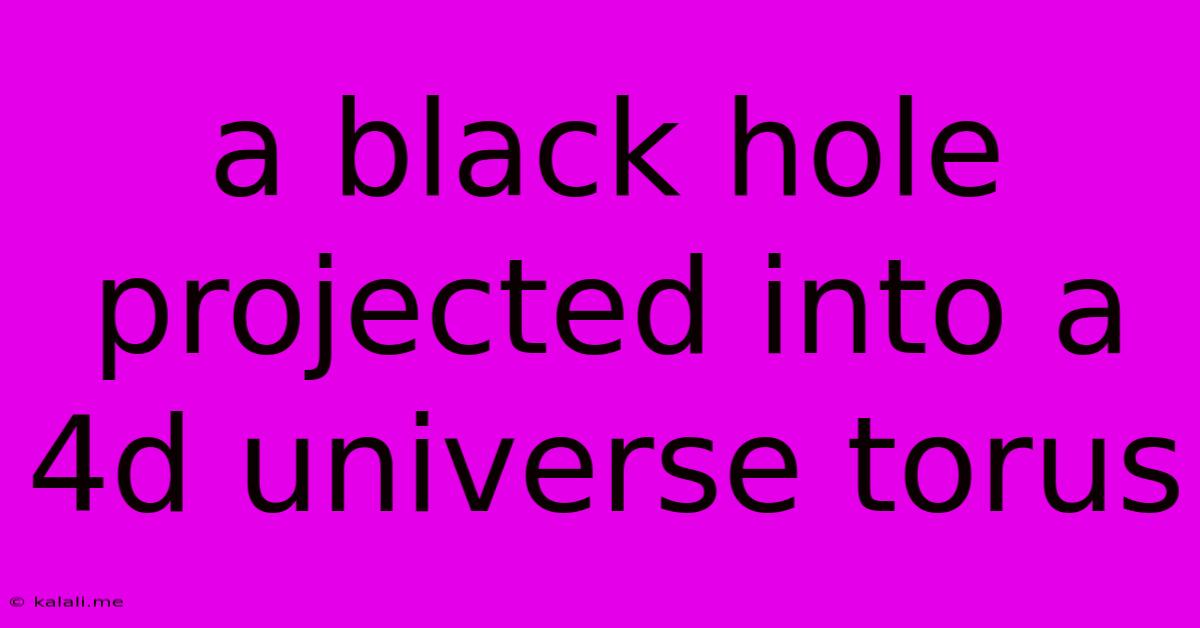 A Black Hole Projected Into A 4d Universe Torus
